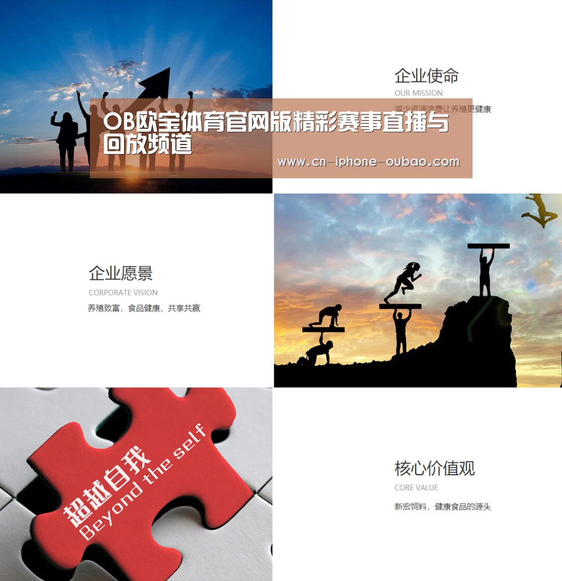 企业文化(图1)