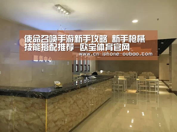使命召唤手游新手攻略 新手枪械技能搭配推荐-欧宝体育官网