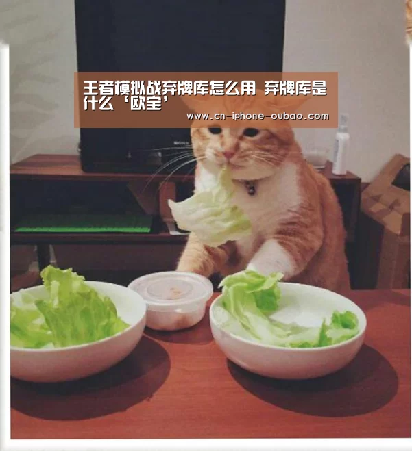 王者模拟战弃牌库怎么用 弃牌库是什么‘欧宝’(图2) 欧宝体育官网