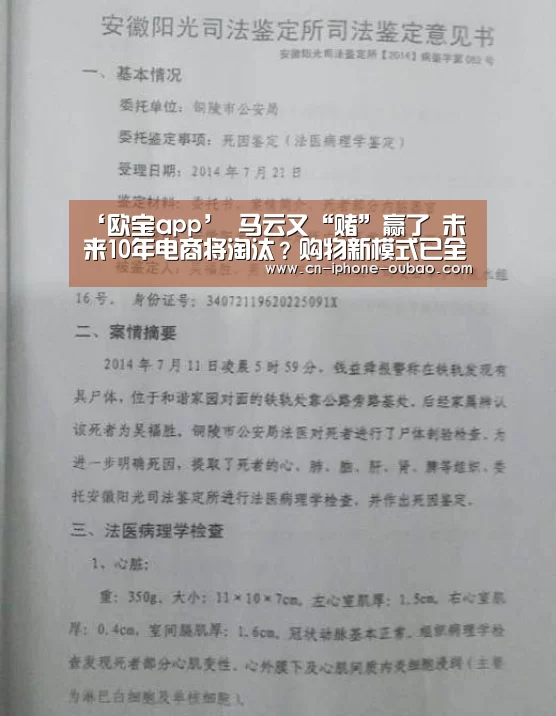 欧宝