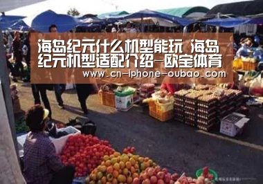 海岛纪元什么机型能玩 海岛纪元机型适配介绍-欧宝体育官网