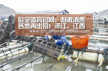 欧宝体育官网：刺激消费各地再出招！浙江、江西及甘肃陇南鼓励一周休2.5天