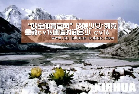 “欧宝体育官网”战舰少女r列克星敦cv16建造时间多少 cv16建造公式多少