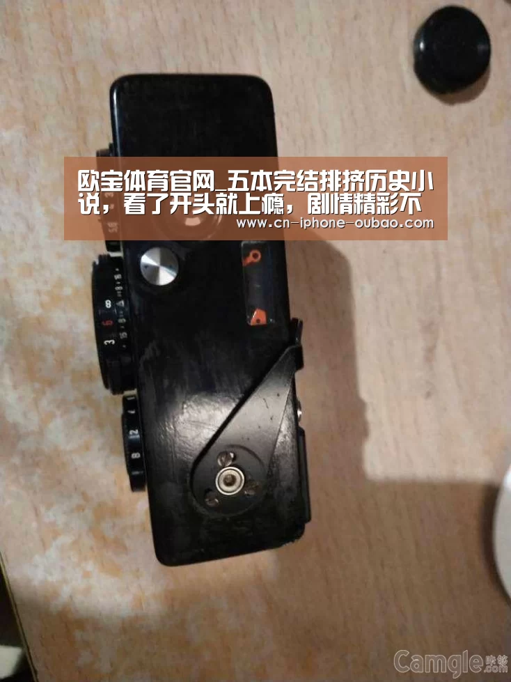 欧宝体育官网_五本完结排挤历史小说,看了开头就上瘾,剧情精彩不输《赘婿》(图2) 欧宝