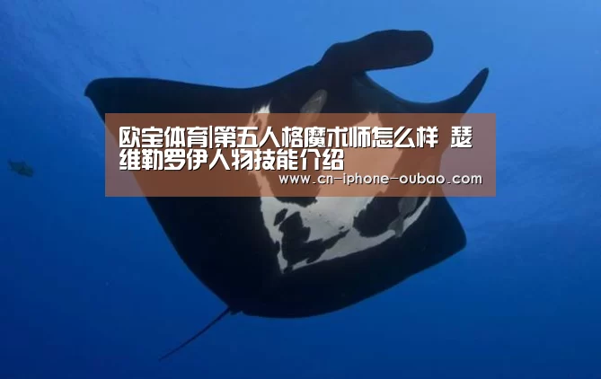 欧宝体育|第五人格魔术师怎么样 瑟维勒罗伊人物技能介绍