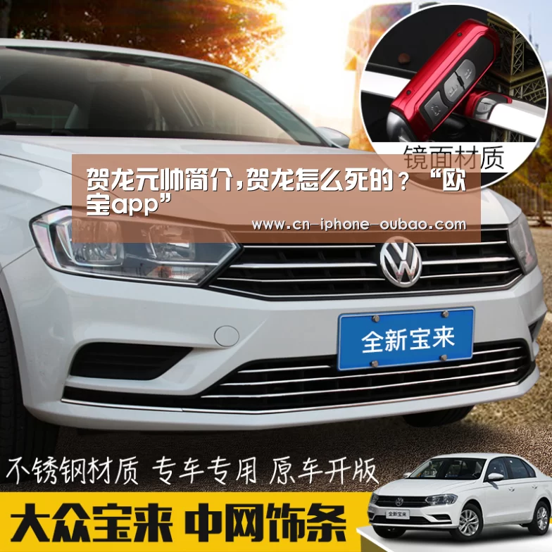 贺龙元帅简介,贺龙怎么死的?“欧宝app”(图2) OB真人