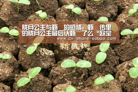 胧月公主与甄嬛的感情,甄嬛传里的胧月公主最后认甄嬛了么“欧宝体育官网”(图4) 欧宝体育