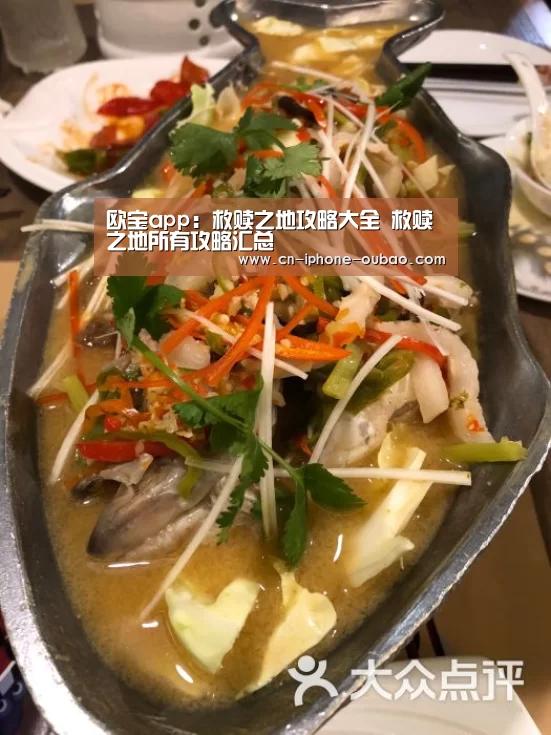 欧宝app：救赎之地攻略大全 救赎之地所有攻略汇总